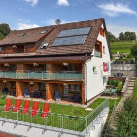 Pension Waldwinkel，位于伦茨基希的酒店