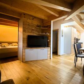 Pragma Apartments - Wood Lodge Predazzo