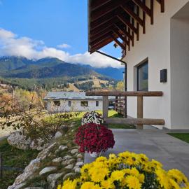 Panoramic Chalet Bran，位于布朗的酒店