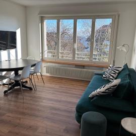 Apartment Lali Peseux, Neuchatel - 1 BR lake and Alps view，位于纳沙泰尔的酒店