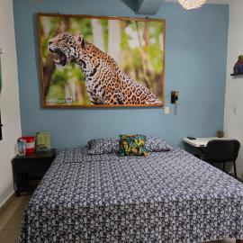 LoftJaguar，位于帕伦克的酒店