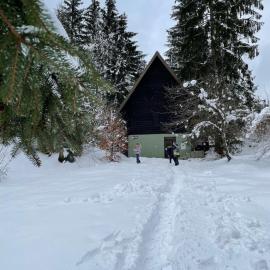Romantic Forest House Tršće，位于Tršće的酒店