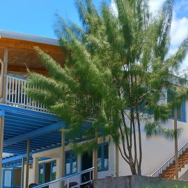 The Tree House Port Vila，位于维拉港的酒店