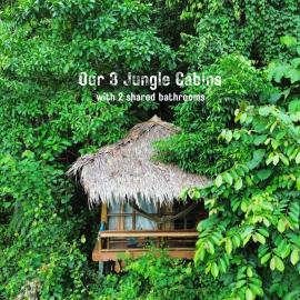 TheJungleGuide - Lodges & Treks，位于武吉拉旺的酒店