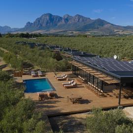 Olijvenkraal Winelands Lodge,位于帕尔的酒店