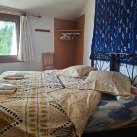 Mitja Pensió Hostal Pastuira Vallter 7，位于塞特卡萨斯的酒店