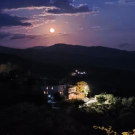 Guesthouse Selini，位于维特萨的酒店