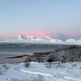 Above The Arctic circle，位于Olderdalen的酒店