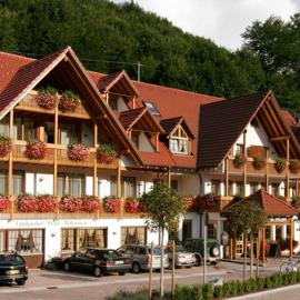 Hotel Walkenstein，位于奥博沃尔法赫的酒店