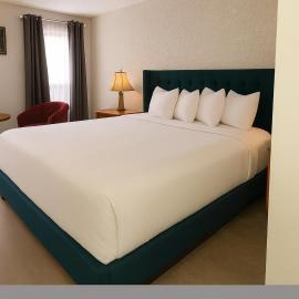Maple Creek Motor Inn，位于Maple Creek的酒店