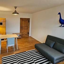 Blaue Gans，位于Oderberg的酒店
