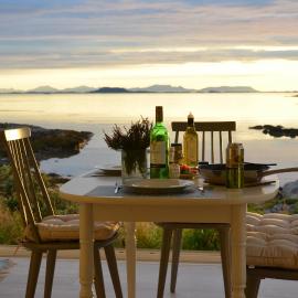 Superior Cottage with Sea View in Senja，位于Senjehesten的酒店