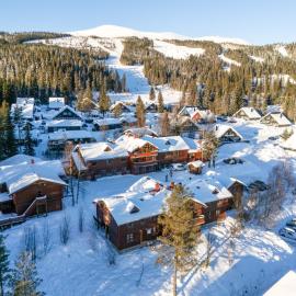 Sjumilskogen
