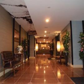 Hotel D.D