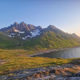 Camp Mefjord，位于Senja的酒店