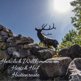 Landhotel und Gasthof Hirsch Hüttenreute，位于Hoßkirch的酒店