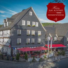 Hotel zur Altstadt，位于弗罗伊登贝格的酒店