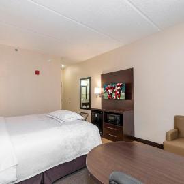 Red Roof Inn PLUS+ San Antonio Downtown - Riverwalk，位于圣安东尼奥的酒店