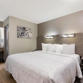 Red Roof Inn PLUS+ Chicago - Naperville，位于内珀维尔的酒店