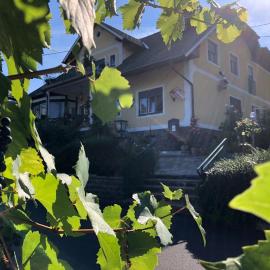 Gasthof Safran，位于Eibiswald的酒店