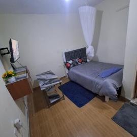 Humble Homes studio apartment Thika Town CBD access to Netflix,wifi and views，位于Thika的酒店
