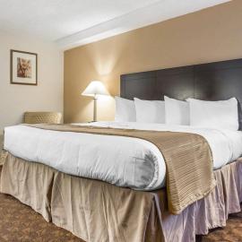Quality Inn & Suites Coliseum，位于格林斯伯勒的酒店