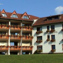 Hotel Burg Waldau，位于Grasellenbach的酒店