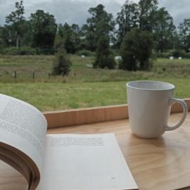 CasaGolondrina, naturaleza, aves cerca de Frutillar，位于延基韦的酒店