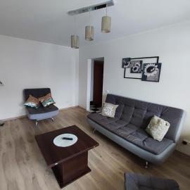 Three-room apartment，位于Venta的酒店
