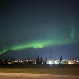Calgary Star Cozy Home，位于卡尔加里的酒店