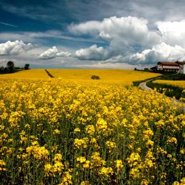 Il Poggio Agrisport，位于Poirino的酒店