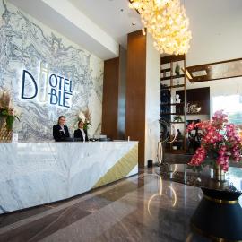 Hotel Dublé，位于纳沃华的酒店