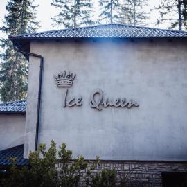 Ice Queen Vlasic，位于Šišava的酒店