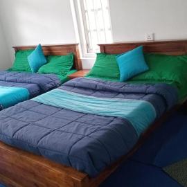 Frosty Heaven Guest House，位于努沃勒埃利耶的酒店