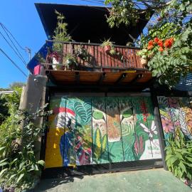 Hostel La petite maison de Diana，位于亚松森的酒店