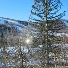 Mountain view chalet avec vue sur la montagne，位于斯托纳姆的酒店