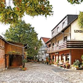 Landgasthaus & Hotel Lindenhof，位于埃尔姆山麓克尼格斯卢特尔的酒店