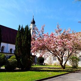 Kloster Altenhohenau FHN,位于Griesstätt的酒店