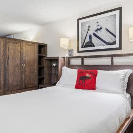 Lift House Lodge, Pet Friendly, Premium Studio Condo，位于范尔的酒店