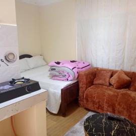 EsMash Studio Machine lanet Nakuru，位于纳库鲁的酒店