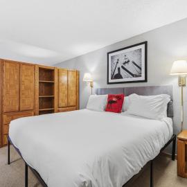 Lift House Lodge, Pet Friendly Studio Condo，位于范尔的酒店