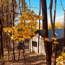 Forester Cabin，位于Telega的酒店