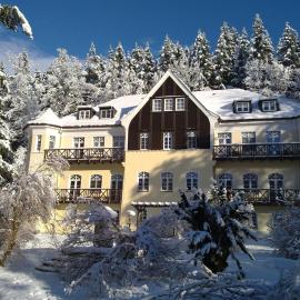 Villa Wilisch,位于安姆茨堡的酒店
