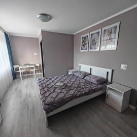 EVA's Rooms，位于特尔古穆列什的酒店