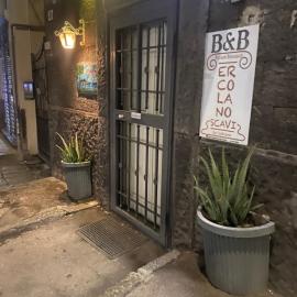 b&b ERCOLANO Scavi，位于埃尔科拉诺的酒店
