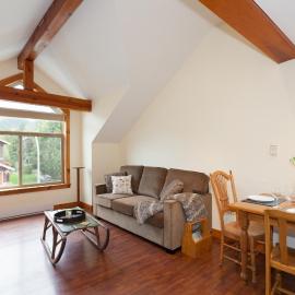 Mountainview 1 bedroom suite, king bed, walk to Village, WIFI, parking, ski & bike storage, lake & beach nearby, Joffre Lakes, golfing, horseback riding, biking, hiking, canoeing, jet boating, Nairn Falls, Beer Farmers & North Arm Farm，位于彭伯顿的酒店