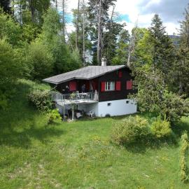 Charming Chalet Silvretta in Flumserberg，位于Flums的酒店
