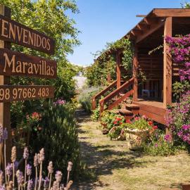 Posada Las Maravillas，位于德尔迪阿布罗角的酒店