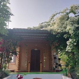 Aalamaram Farm，位于Anchetti的酒店