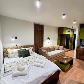 Apartman Mist - Bela reka Brzeće，位于布尔泽策的酒店